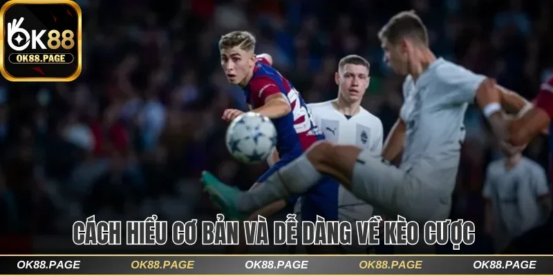 Hiểu Kèo 2 Đội Đều Ghi Bàn Ok88 Để Chinh Phục Thưởng Lớn 2 Cách hiểu cơ bản và dễ dàng về kèo cược