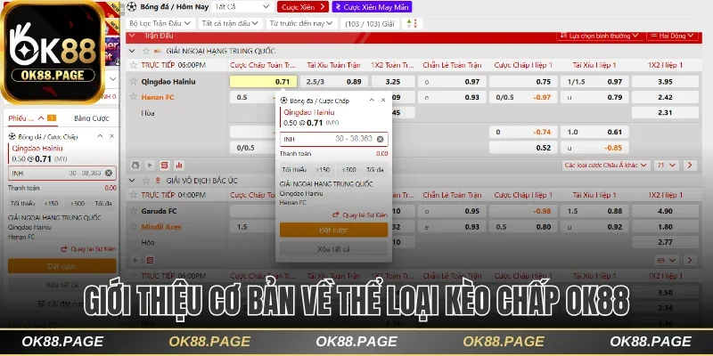 Các Loại Kèo Chấp Ok88 Và Bí Quyết Cược Thắng Nhanh 1 Giới thiệu cơ bản về thể loại kèo chấp OK88